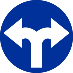 C 2f Přikázaný směr jízdy vpravo a vlevo